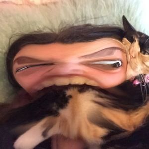 Meet your Posher, Emma